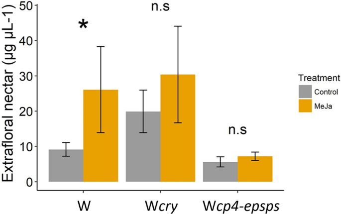 Ongoing ecological and evolutionary consequences by the presence of  transgenes in a wild cotton population