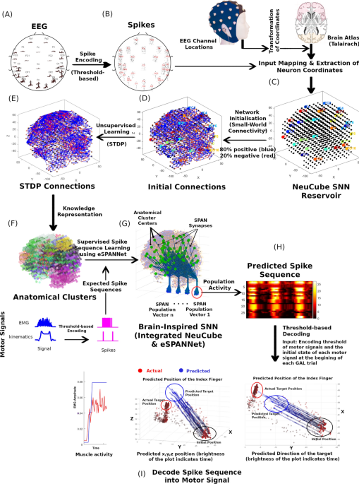 Establishing new TReNDS in brain research - The Signal