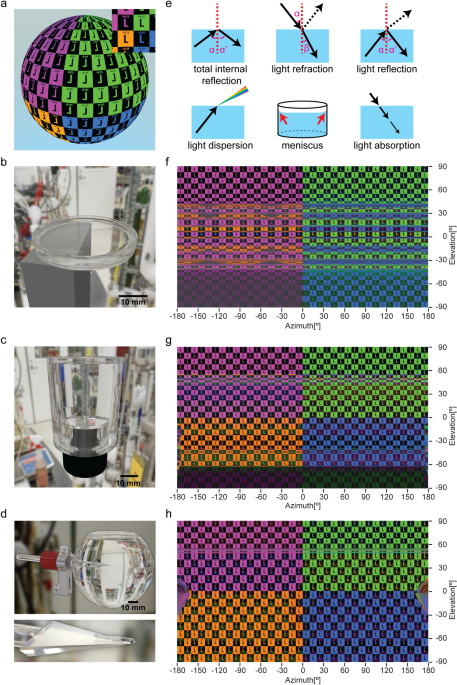 Reduction Of Visual Stimulus Artifacts Using A Spherical Tank For Small Aquatic Animals Scientific Reports