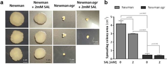 Biofilm-Associated Agr and Sar Quorum Sensing Systems of Staphylococcus  aureus Are Inhibited by 3-Hydroxybenzoic Acid Derived from Illicium verum