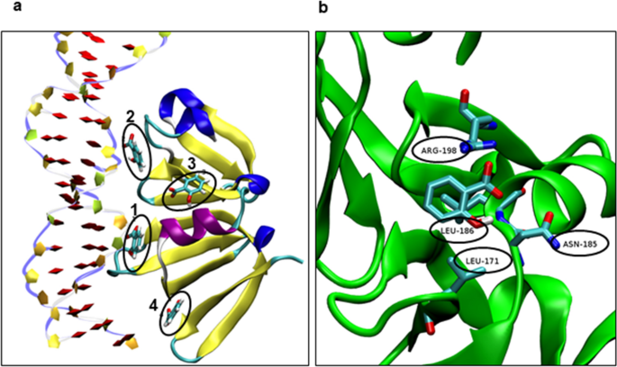 Biofilm-Associated Agr and Sar Quorum Sensing Systems of Staphylococcus  aureus Are Inhibited by 3-Hydroxybenzoic Acid Derived from Illicium verum