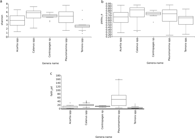 Meta Analysis Cum Machine Learning Approaches Address The Structure And Biogeochemical Potential Of Marine Copepod Associated Bacteriobiomes Scientific Reports