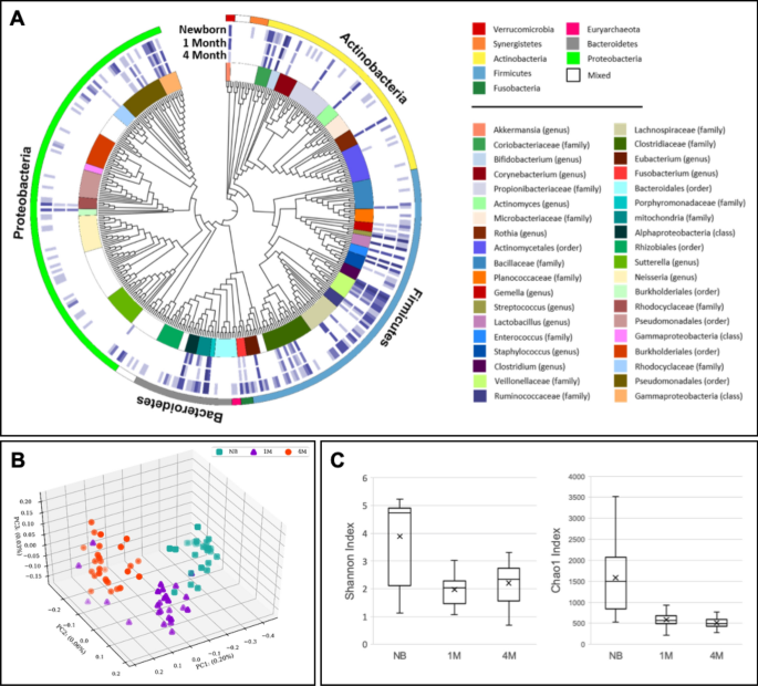 metagenomic analysis of the gut microbiome composition associated with vitamin d supplementation in taiwanese infants scientific reports