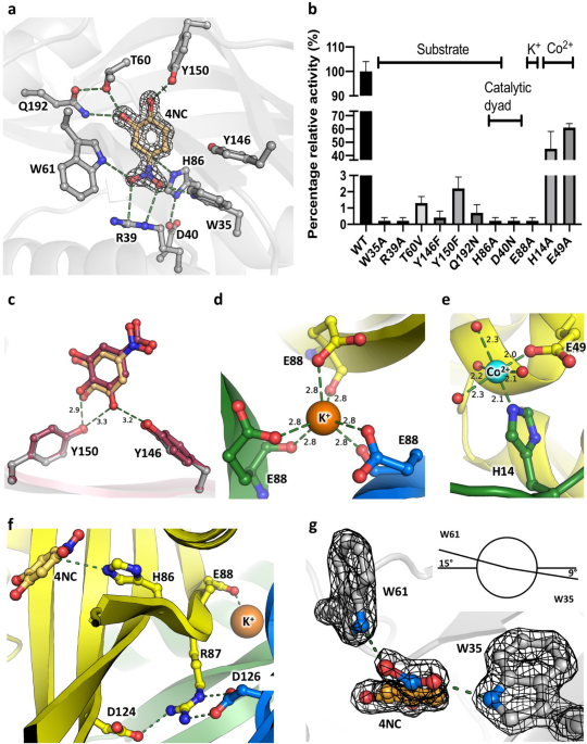 RCSB PDB - E49 Ligand Summary Page