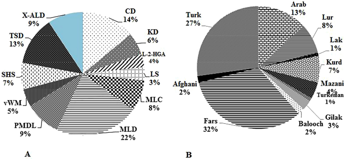 Genetic Testing Of Leukodystrophies Unraveling Extensive Heterogeneity In A Large Cohort And Report Of Five Common Diseases And 38 Novel Variants Scientific Reports