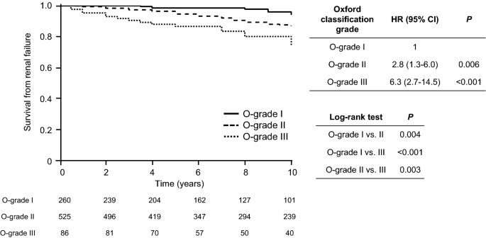 Grading System Utilising The Total Score Of Oxford Classification For Predicting Renal Prognosis In Iga Nephropathy Scientific Reports