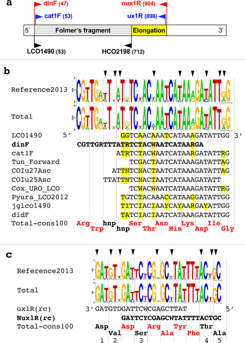 An elongated COI fragment to discriminate botryllid species and as an improved ascidian DNA barcode | Scientific Reports An... 
