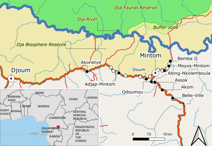 Hunting territories and land use overlap in sedentarised Baka Pygmy  communities in southeastern Cameroon | Scientific Reports