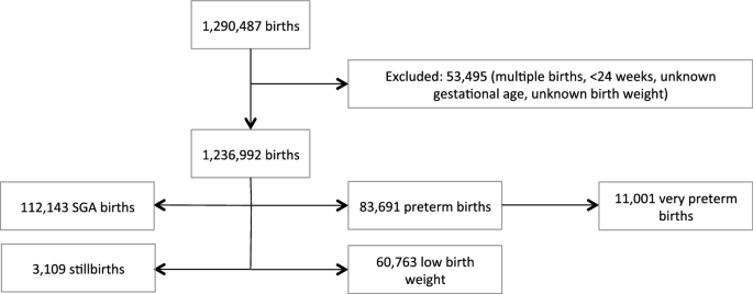 Interrupted Time Series Study Found Mixed Effects Of The Impact Of The Bavarian Smoke Free Legislation On Pregnancy Outcomes Scientific Reports
