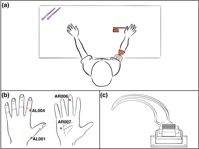 The rubber hand illusion is a fallible method to study ownership of  prosthetic limbs
