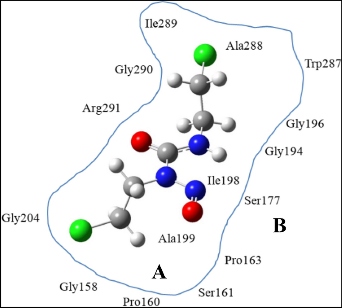 glutathione rectal implant Computational modelling of nanotube delivery of anti-cancer drug into  glutathione reductase enzyme