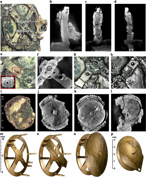 Functioning 'mechanical gears' seen in nature for the first time