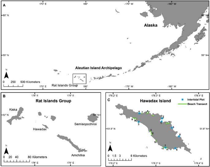 Indirect Effects Of Invasive Rat Removal Result In Recovery Of Island Rocky Intertidal Community Structure Scientific Reports