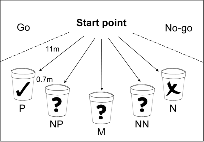 Optimism And Pasture Access In Dairy Cows Scientific Reports