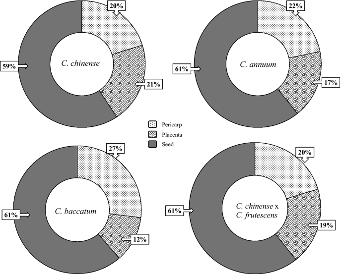 Influence Of Intra And Inter Species Variation In Chilies Capsicum Spp On Metabolite Composition Of Three Fruit Segments Scientific Reports
