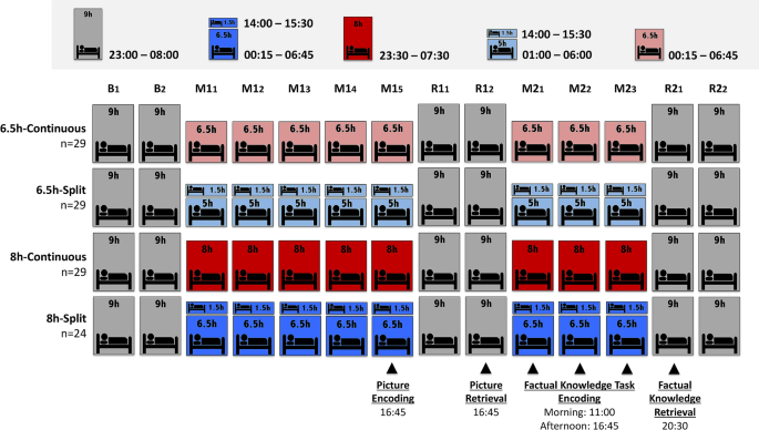 TELLING THE TIME, AM & PM, 60 DIVISION, MIDDAY, MIDNIGHT, NOON, 12.00  AM, 12.00 NOON