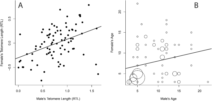 Telomere Lengths Correlate With Fitness But Assortative Mating By Telomeres Confers No Benefit To Fledgling Recruitment Scientific Reports