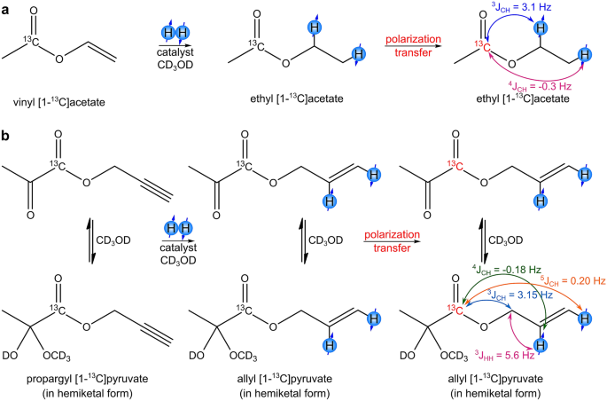 Phip Hyperpolarized 1 13c Pyruvate And 1 13c Acetate Esters Via Ph Inept Polarization Transfer Monitored By 13c Nmr And Mri Scientific Reports