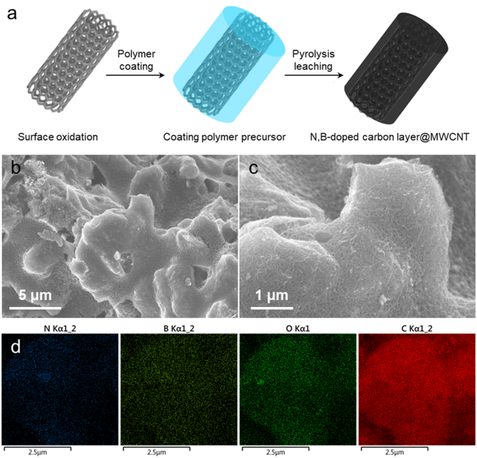 Jeg bærer tøj klippe Skab Nitrogen and boron doped carbon layer coated multiwall carbon nanotubes as  high performance anode materials for lithium ion batteries | Scientific  Reports