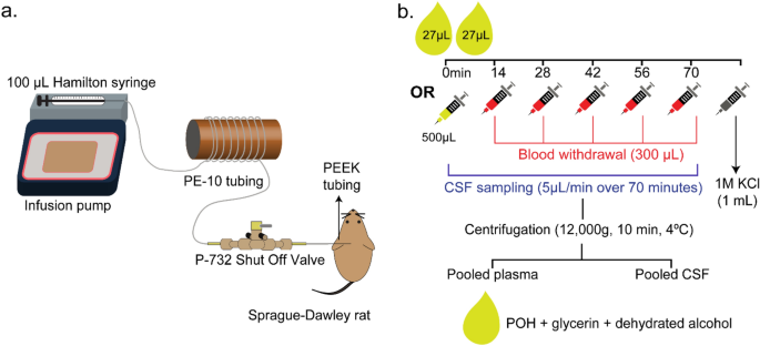 Intranasal administration of the chemotherapeutic perillyl alcohol results  in selective delivery to the cerebrospinal fluid in rats | Scientific  Reports