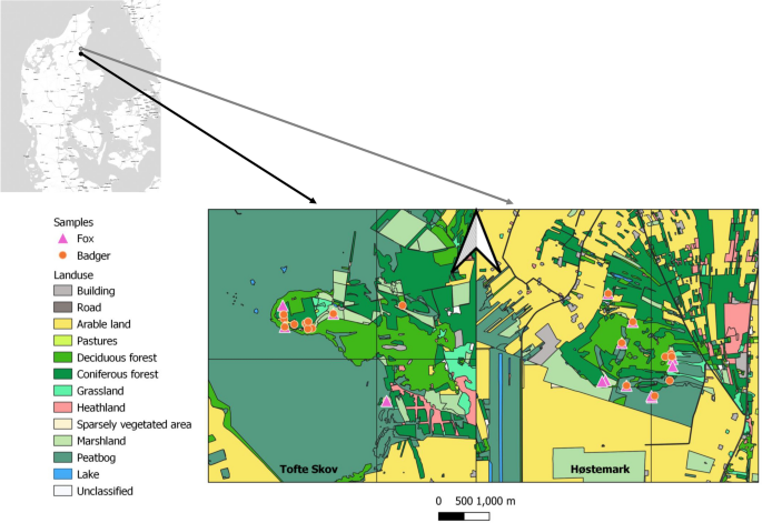 edna metabarcoding for biodiversity