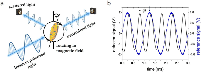 Nanoimprinted Multifunctional Nanoprobes For A Homogeneous Immunoassay In A Top Down Fabrication Approach Scientific Reports