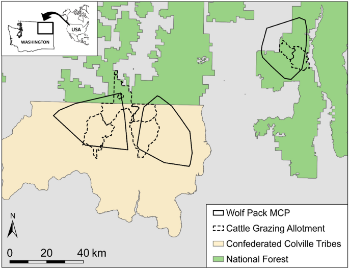 Detecting The Effects Of Predator Induced Stress On The Global Metabolism Of An Ungulate Prey Using Fecal Metabolomic Fingerprinting Scientific Reports