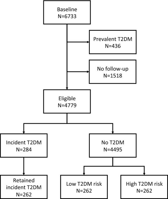 Triangulating evidence from longitudinal and mendelian randomization studies of metabolomic biomarkers for type 2 diabetes