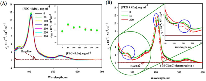 Interaction Of Polyethylene Glycol With Cytochrome C Investigated Via In Vitro And In Silico Approaches Scientific Reports Interaction Of Polyethylene Glycol With Cytochrome C Investigated Via In Vitro And In Silico Approaches Scientific Reports