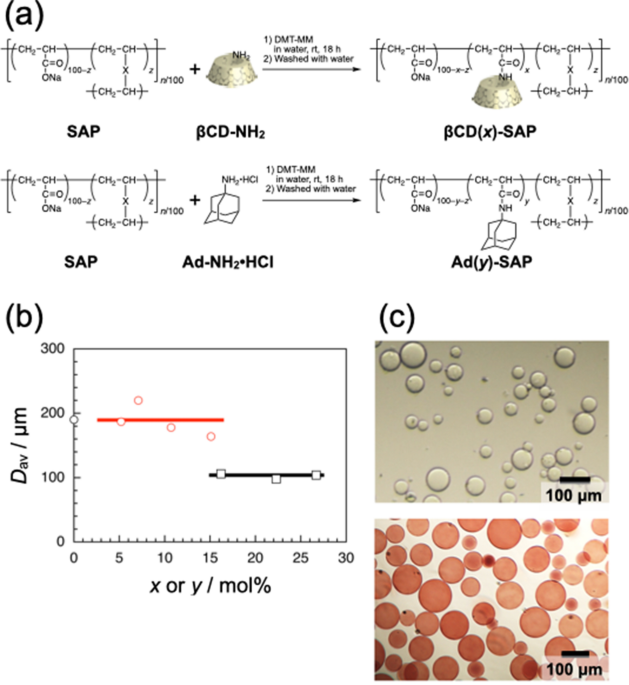 The Macroscopic Shape Of Assemblies Formed From Microparticles Based On Host Guest Interaction Dependent On The Guest Content Scientific Reports The Macroscopic Shape Of Assemblies Formed From Microparticles Based On Host Guest Interaction Dependent On The Guest Content Scientific Reports