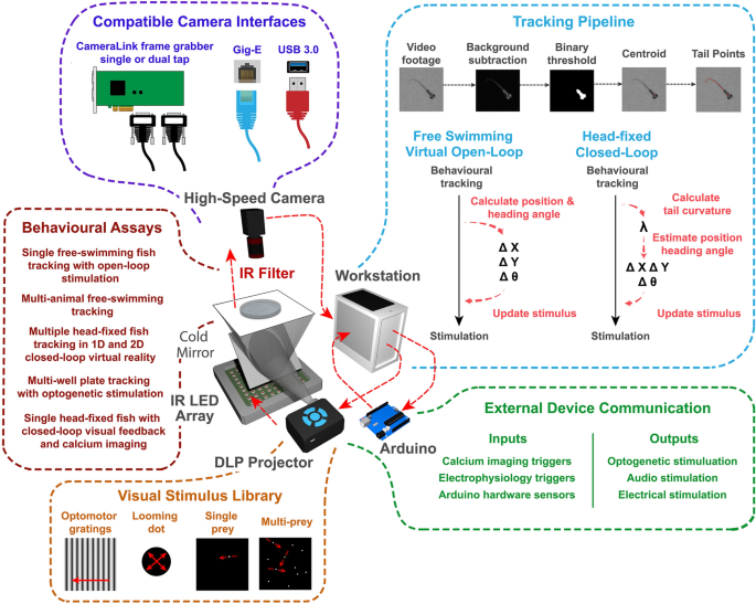 BonZeb: open-source, modular software tools for high-resolution zebrafish  tracking and analysis