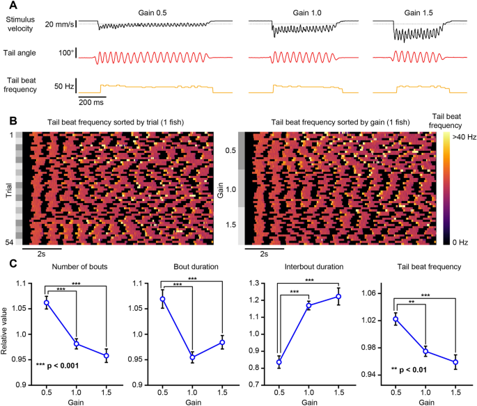 BonZeb: open-source, modular software tools for high-resolution zebrafish  tracking and analysis