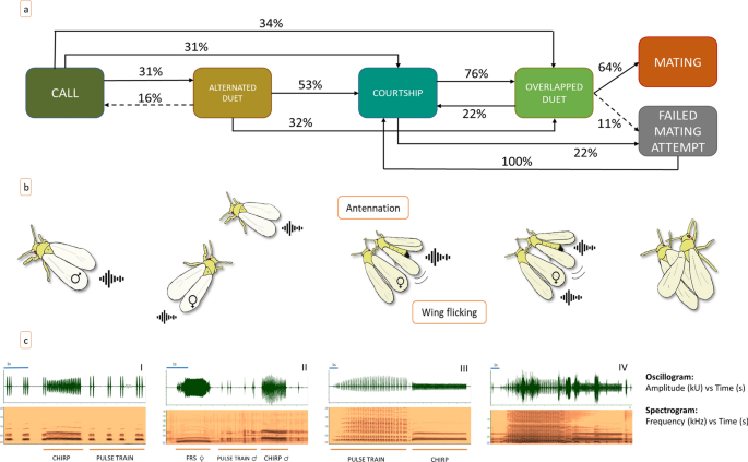 Vibrational communication and mating behavior of the greenhouse whitefly Trialeurodes vaporariorum (Westwood) (Hemiptera: Aleyrodidae)