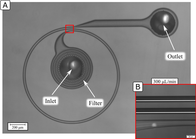 The Upper Limit And Lift Force Within Inertial Focusing In High Aspect Ratio Curved Microfluidics Scientific Reports
