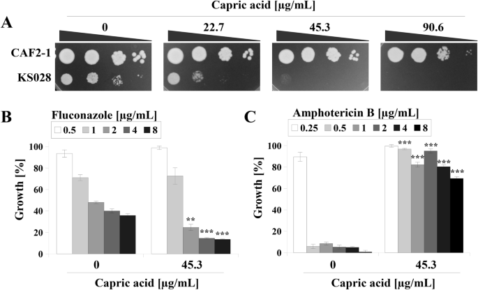 Capric Acid Secreted By Saccharomyces Boulardii Influences The Susceptibility Of Candida Albicans To Fluconazole And Amphotericin B Scientific Reports Capric Acid Secreted By Saccharomyces Boulardii Influences The Susceptibility Of Candida Albicans To Fluconazole And Amphotericin B Scientific Reports