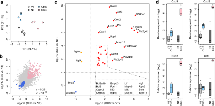 Transcriptomic insight into the translational value of two murine models in human atopic dermatitis