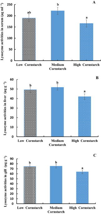 From Pantry to Plate: Rise of Cornstarch Chunk Consumption