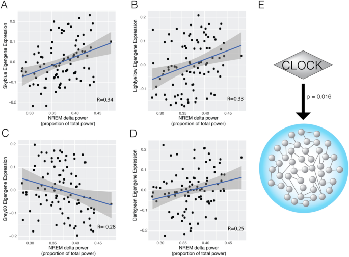 NREM delta power and AD-relevant tauopathy are associated with shared cortical gene networks | Scien