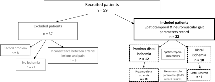 PDF) Exercise prescription using the heart of claudication pain onset in  patients with intermittent claudication