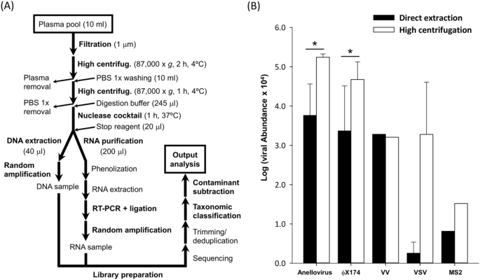 Deep Viral Blood Metagenomics Reveals Extensive Anellovirus Diversity In Healthy Humans Scientific Reports