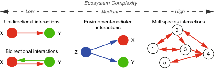 Inferring Ecosystem Networks As Information Flows Scientific Reports