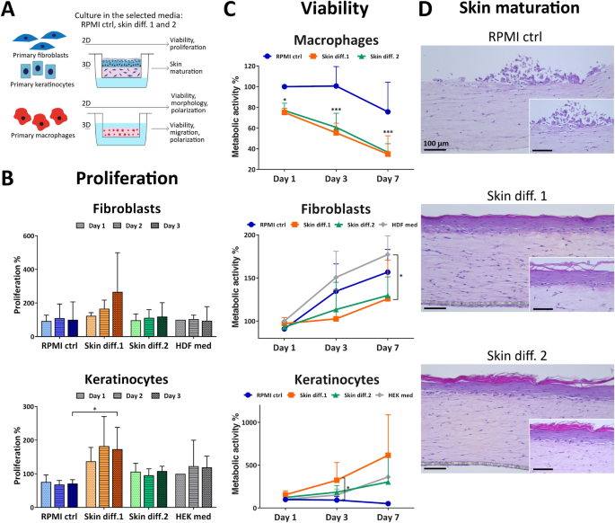 In Vitro Skin Culture Media Influence The Viability And Inflammatory Response Of Primary Macrophages Scientific Reports