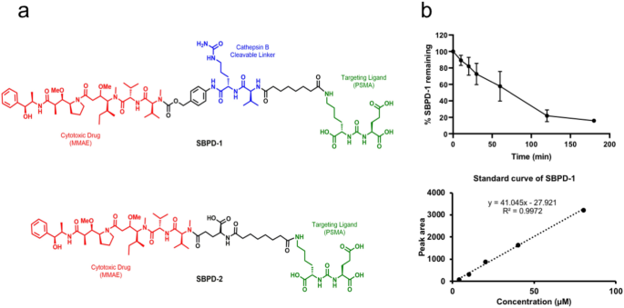 A prostate-specific membrane antigen (PSMA)-targeted prodrug with a  favorable in vivo toxicity profile | Scientific Reports