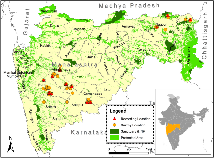 Dhule City Survey Map Identifying Unknown Indian Wolves By Their Distinctive Howls: Its Potential  As A Non-Invasive Survey Method | Scientific Reports