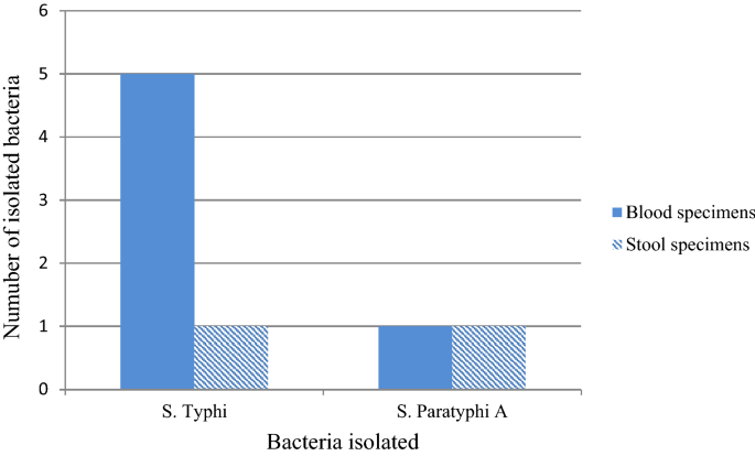 Salmonella Typhi And S Almonella Paratyphi Prevalence Antimicrobial Susceptibility Profile And Factors Associated With Enteric Fever Infection In Bahir Dar Ethiopia Scientific Reports