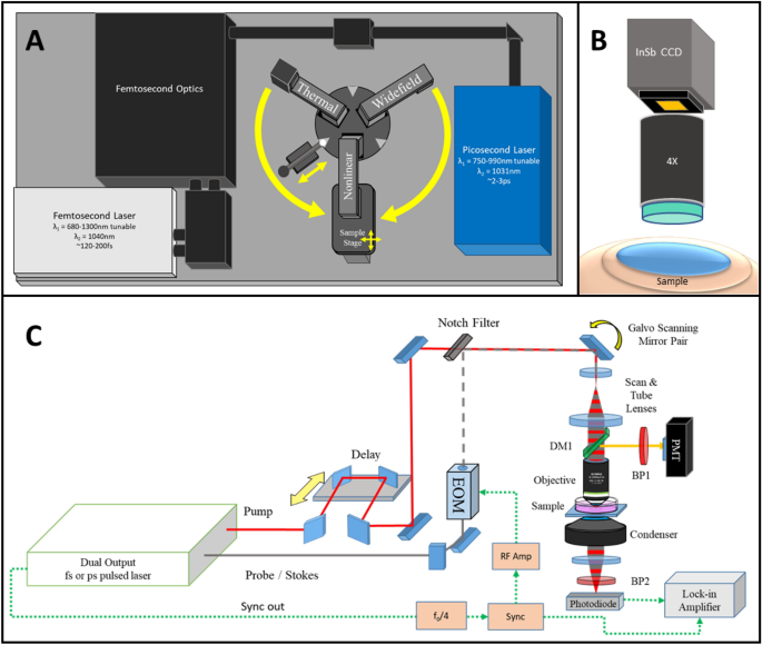 Multi Modal Nonlinear Optical And Thermal Imaging Platform For Label Free Characterization Of Biological Tissue Scientific Reports
