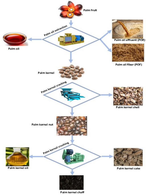bearbetning av palmkärnoljekaka
