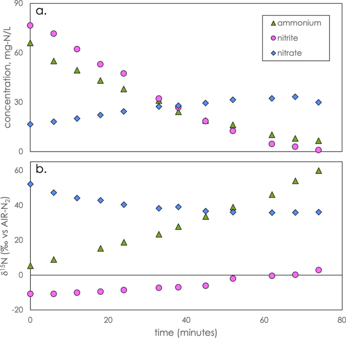 Nitrogen Isotope Effects Can Be Used To Diagnose N Transformations In Wastewater Anammox Systems Scientific Reports