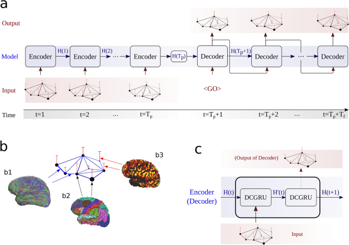 A graph neural network framework for causal inference in brain 