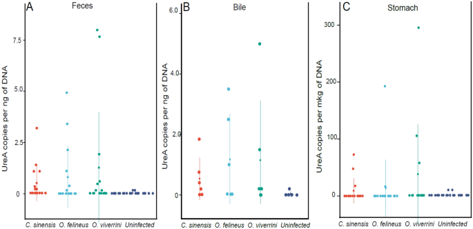 A Comparative Study Of Helicobacter Pylori Infection In Hamsters Experimentally Infected With Liver Flukes Opisthorchis Felineus Opisthorchis Viverrini Or Clonorchis Sinensis Scientific Reports